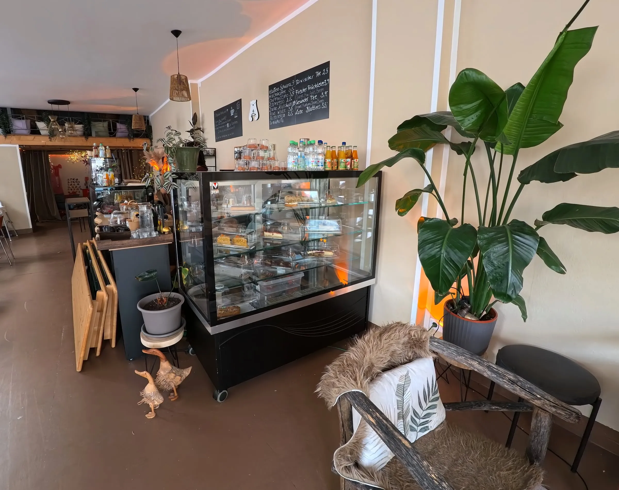 Die Kuchenvitrine neben einer großen Pflanze